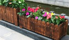 舍弃花盆奔出庭院的作文650字