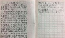 文具盒里的争吵450字作文
