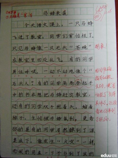 马蜂飞进教室的那一刻学生作文