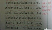 马蜂飞进教室的那一刻学生作文