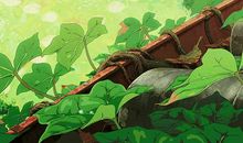 原创学生作文：《我爱家乡的香榧》