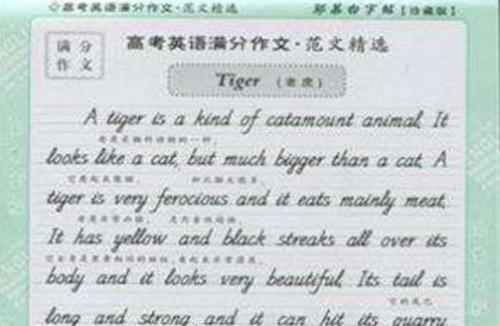 英语作文万能句子（下）