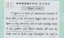 英语作文万能句子（下）