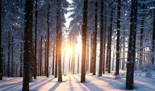 有关“温暖”主题作文：《在温暖中行走》