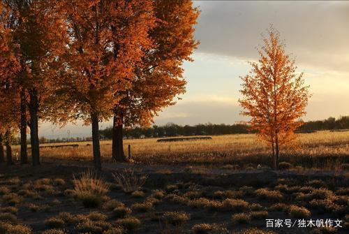 初二作文：那个秋天