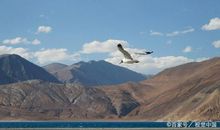 学姐分享高考作文经验：我是这样从论据入手，实现了一类文的跃迁