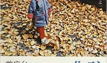 《孩子你慢慢来》读后感