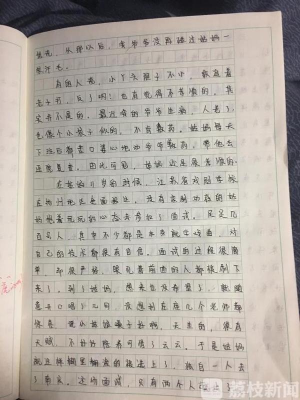 “妈妈不化妆,样子可丑了!” 小学生作文花式“损”亲妈 8