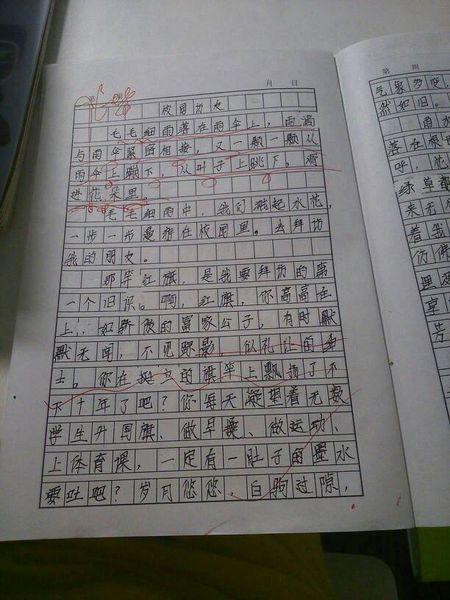 读自然 文|江苏一考生考场作文