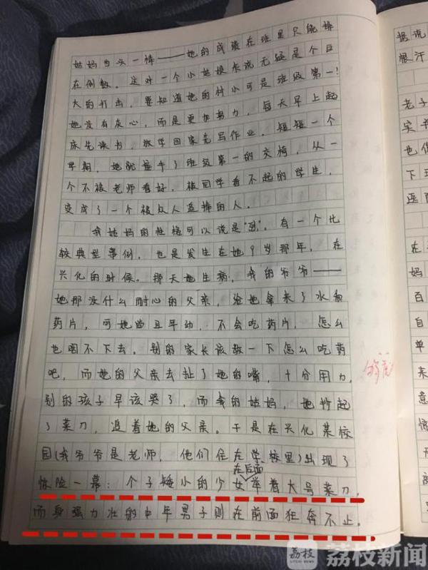 “妈妈不化妆,样子可丑了!” 小学生作文花式“损”亲妈 7