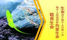 佳作丨“敬畏生命”材料优秀作文