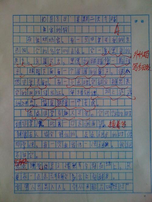 我家的小狗作文700字