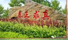 书院随笔 || 那一片漾在心里的绿 —《书院的爬山虎》读后感