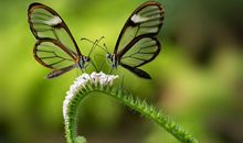 原创 【创意作文展示】童年趣事（四）