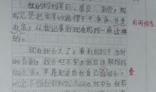 我的奶奶 勤快的奶奶作文300字