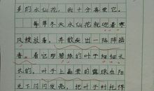 我的“小老师”姚宇澄 四年级写人作文300字