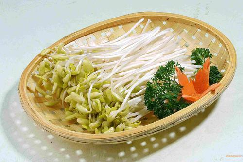 原创学生作文：《生豆芽》