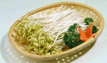 原创学生作文：《生豆芽》