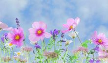 一句话，一辈子：怎样写影响自己的一句话？（附优秀作文及点评）