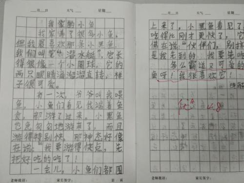 二年级学生日记3则