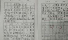 二年级学生日记3则