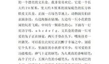 空中的云 我喜欢云300字作文