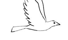 满分作文丨中考满分作文：最懂我的那个人