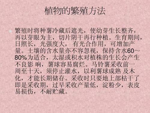 玫瑰观察日记一则 观察玫瑰日记300字