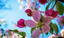 学生随笔作文：在食堂