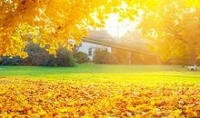 秋景 秋天的景色作文300字