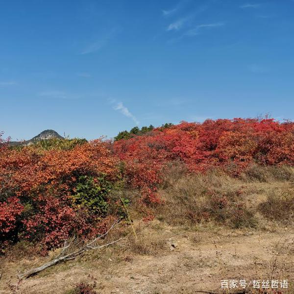 人的伟大之处,在于跌倒了再爬起来(读后感) 1