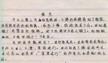 乐于助人的月月 小学生写人作文400字