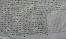 优秀作文|| 冯安琪： 美，悄然绽放