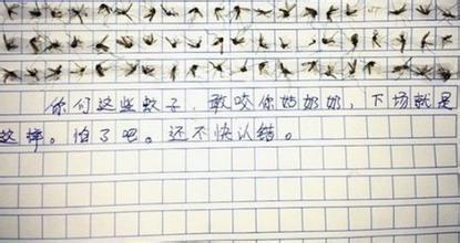 “蚊子坪”的一天 农村生活体验作文700字