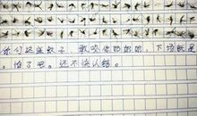“蚊子坪”的一天 农村生活体验作文700字