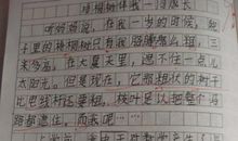 梧桐遍布的道路 初一作文500字