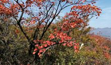 人的伟大之处，在于跌倒了再爬起来（读后感）