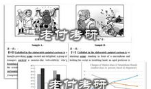 【一一五七】拎得清，才是高级的作文！