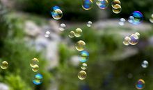 东方作文学生作品：《美丽的泡泡世界》