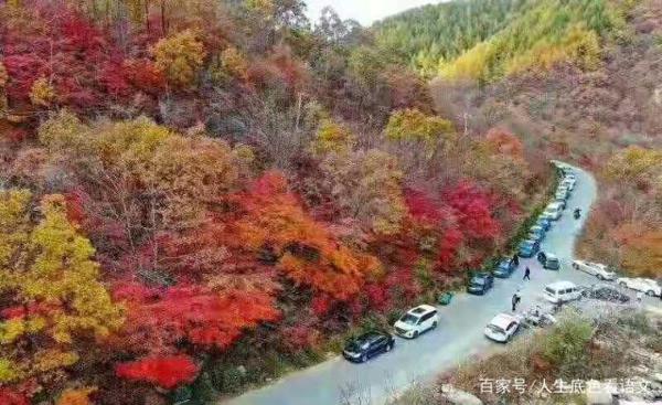 5个招法,打造个性化记叙文,中考作文就要拿高分 3