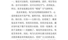 关于爱的精彩表达作文