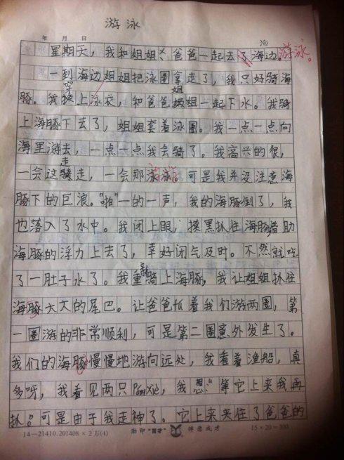 烂菜学生作文