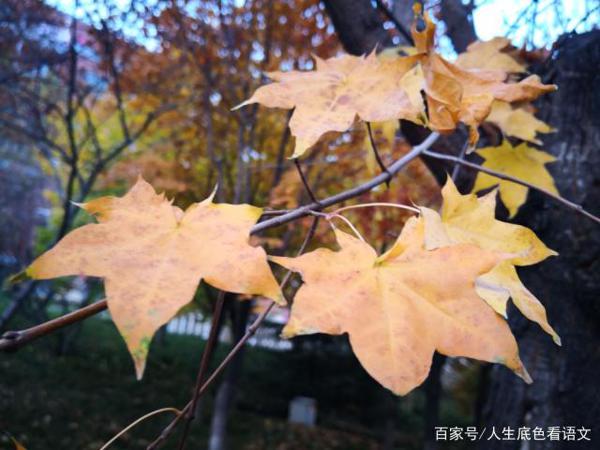 5个招法,打造个性化记叙文,中考作文就要拿高分