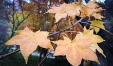 5个招法，打造个性化记叙文，中考作文就要拿高分