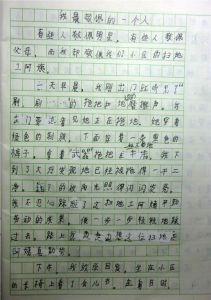 英雄的战役作文