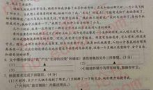 中考优秀作文|《你是我的一本书》