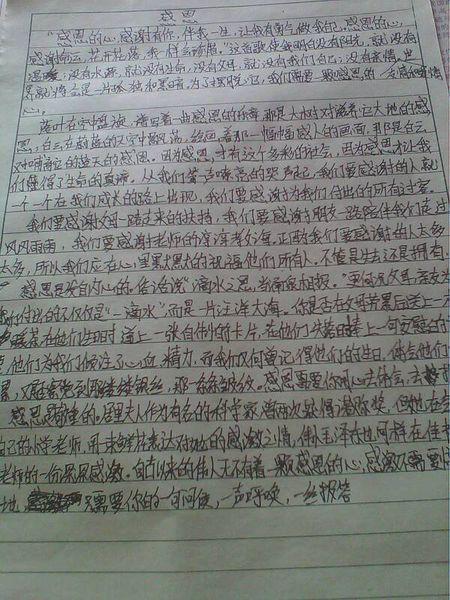 体验 放手让孩子成长700字作文