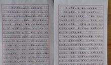 低碳环保 三年级环保作文300字