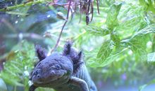 原创 读书时在作文写着的愿望实现了吗？现在还有在默默坚持吗？