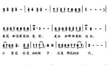 小雪花 初三作文400字